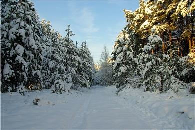 玩家社区支持《生化4RE》艾达王配音：骚扰她的是人渣