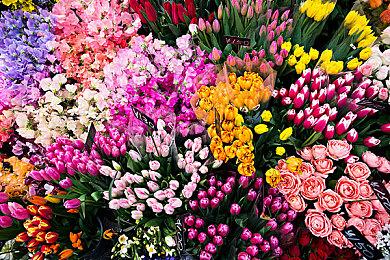 《暗邪西部》预告展示新敌人 成群结队攻向玩家